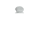 White Graniet Hoofdsteen 9 +170,00€